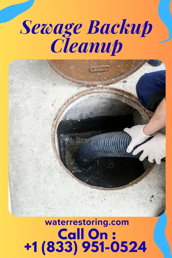 Sewage Backup Cleanup in Glens Falls North, NY